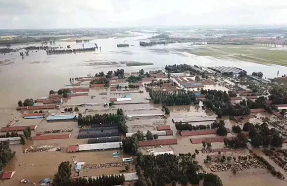 臺(tái)風(fēng)過(guò)境，如何用預(yù)應(yīng)力碳纖維板系統(tǒng)保障橋梁