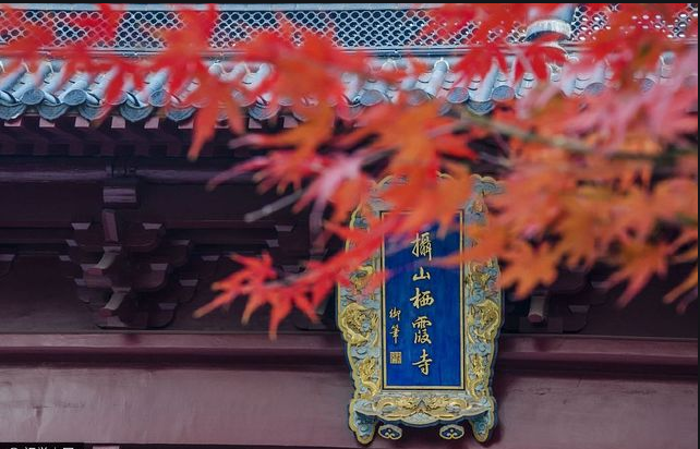 棲霞山楓葉換新顏，賞心悅目令人贊