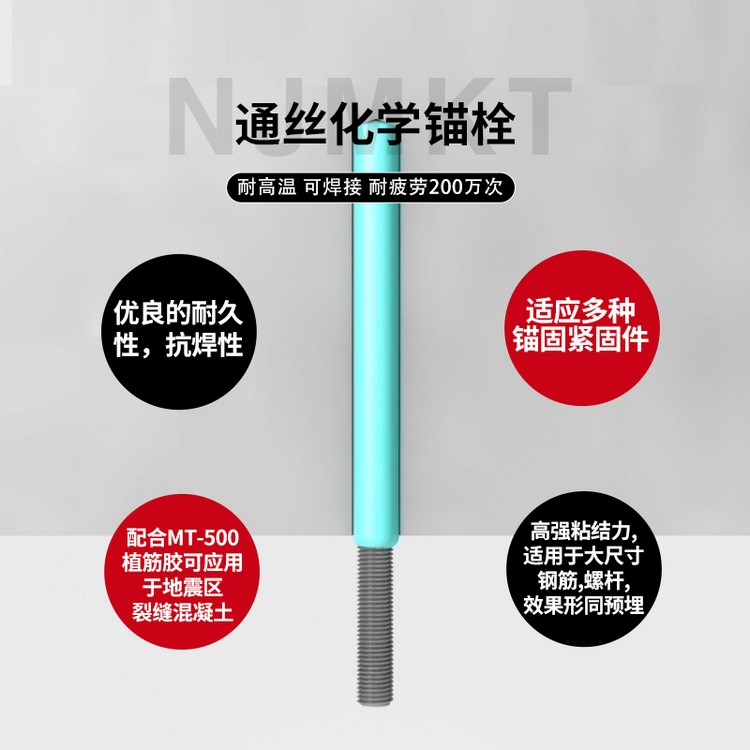 通絲化學(xué)錨栓主圖2
