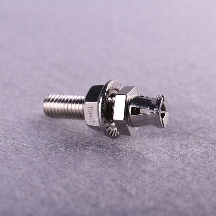 旋進(jìn)式背栓 (2)